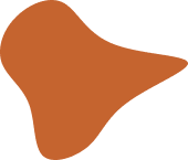 Vector-14-.png
